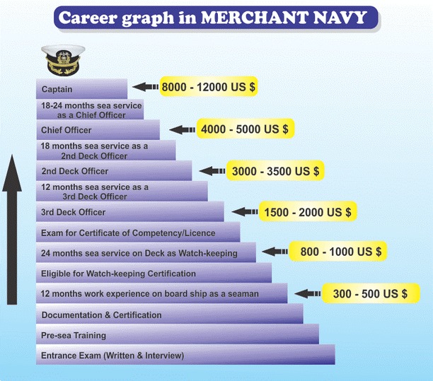 career graph